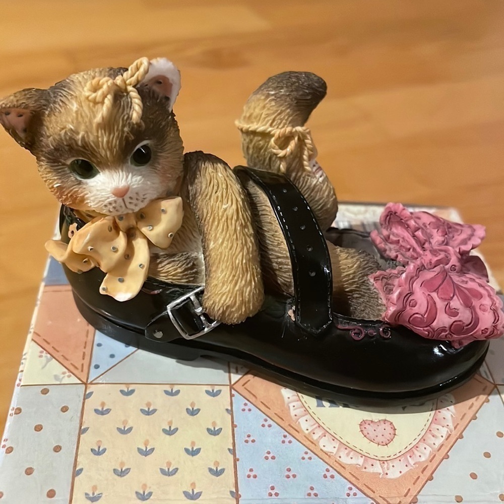 Calico kitten - “I’ll be there every step of the way”